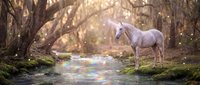 Magical white unicorn with horn standing in enchanted forest with golden sunlight filtering through ancient trees and mystical rainbow reflections on ground.