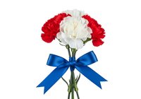Bouquet of red and white carnations tied with blue ribbon bow, isolated on white background for greeting cards, celebrations, and floral design projects.