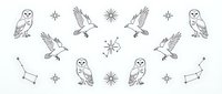 Mystical owls and eagles pattern with celestial stars and constellations on white background. Isolated design elements for apparel and home decor projects.