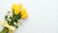 Yellow tulips bouquet with white flowers tied with ribbon on light background for spring celebrations and greeting cards.