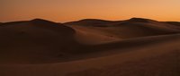 Golden sand dunes stretch across desert landscape during warm sunset creating dramatic shadows and curves in arid wilderness environment.