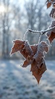 Frost-covered autumn leaves hanging on bare branch in winter morning light with blurred forest background creating seasonal nature scene.
