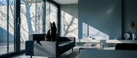 Black cat silhouette sitting on modern gray sofa in contemporary living room with large windows and natural sunlight creating dramatic shadows on walls.