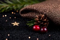 Festive winter composition with pine cone, fresh cranberries, golden star decoration and burlap fabric on dark background with bokeh lights and pine needles.