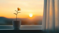 Single yellow flower in white pot on windowsill against dramatic orange sunset sky and mountains, creating peaceful minimalist home atmosphere.