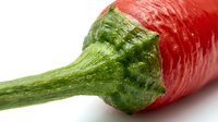 Red bell pepper with green stem isolated on white background, fresh produce for cooking, nutrition, and food design projects.