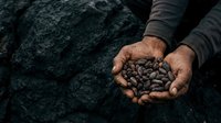 Farmer hands holding roasted coffee beans against dark stone background, suitable for coffee industry marketing, agricultural content, and beverage packaging designs.