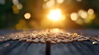 Raw white beans scattered on dark wooden surface in golden sunset light with bokeh effect, creating dramatic natural food photography with shallow depth of field.