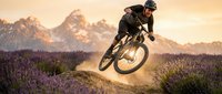 Mountain biker jumping over lavender field at sunset with alpine peaks in background. Extreme sports adventure and outdoor recreation concept.