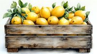 Fresh yellow lemons with green leaves in rustic wooden crate against white background, farm market produce for healthy cooking and decoration.