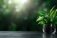 Fresh against blurred forest bokeh background, natural light streaming through leaves creates peaceful atmosphere.