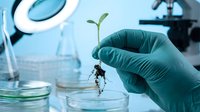 Scientist in laboratory holding young plant seedling with roots in gloved hand for botanical research and agricultural biotechnology experiments.