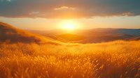 Golden wheat field at sunset with rolling hills stretching to horizon, warm sunlight creating dramatic silhouettes against cloudy sky.