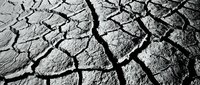 Cracked dry earth texture with deep fissures, representing drought, climate change, and environmental degradation for editorial and awareness campaigns.