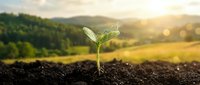 Young seedling sprouting from rich soil with lush green landscape and mountains in soft-focus background, symbolizing growth, agriculture, and environmental sustainability for eco-friendly projects.
