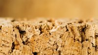 Macro shot of natural cork texture with warm golden tones and detailed surface patterns, suitable for backgrounds, design elements, and material reference projects.