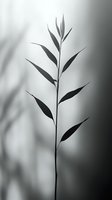 Elegant bamboo branch silhouette against soft gradient background creates zen atmosphere. Minimalist botanical art suitable for wellness and spa designs.
