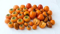Fresh orange persimmons arranged on white background, whole and sliced fruits showing vibrant color and texture, suitable for food photography, culinary design, and healthy eating content.