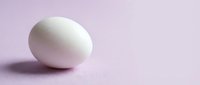 Single white chicken egg on soft pink pastel background with gentle lighting and minimalist composition for cooking and food photography concepts.