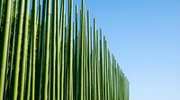 Modern green corrugated metal wall with vertical ridges against clear blue sky, suitable for contemporary architecture, industrial design, and minimalist backgrounds.