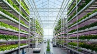 Vertical farming greenhouse with rows of hydroponic plants growing under LED lights in controlled environment agriculture facility for sustainable food production.