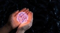 Hands holding glowing purple digital sphere with circuit pattern against dark background, representing technology, innovation, and digital transformation for business concepts.