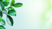 Fresh green leaves on branch against soft blurred background with copy space for text, suitable for nature, environment, or wellness themes.