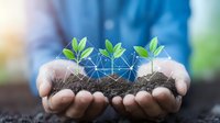 Young green sprouts with digital network connections growing in soil held in cupped hands, representing agricultural technology and smart farming solutions.