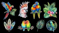 Colorful tropical birds clipart set with parrots, lovebirds, cockatoo, feathers, and floral elements, isolated on transparent background. For stickers, t-shirt design, print on demand.