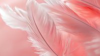 Delicate white and coral pink feathers creating soft ethereal texture against pink background, with gentle light and shadow details for romantic designs.
