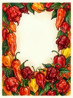 Colorful bell peppers and chili peppers frame a blank center space with green foliage. Isolated design element suitable for recipe cards, menus, cooking blogs, kitchen decor, and food packaging templates.