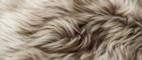 Soft beige and brown animal fur texture closeup, natural fluffy surface background for fashion, interior design, and textile projects.