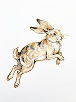 Jumping rabbit with brown and tan markings, isolated on transparent background, ready for t-shirt design, clipart, stickers, sublimation and print-on-demand products.