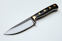 Stainless steel kitchen knife with black handle and brass rivets, isolated on white background, suitable for culinary design and cooking content.