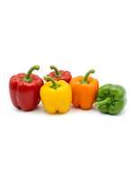 Fresh colorful bell peppers in red, yellow, orange, and green varieties isolated on white background, ready for culinary and food design projects.