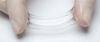 Two hands in clear latex gloves holding empty transparent glass jar on white background, isolated for product mockup, packaging design, and commercial applications.