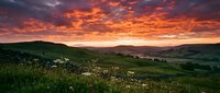 Dramatic sunset over rolling green hills with wildflower meadow in foreground, golden and orange sky with clouds, rural landscape at dusk for nature and travel projects.
