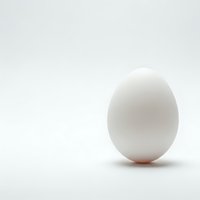 Single white chicken egg standing upright on clean white background with soft shadow, minimalist composition for cooking and food design projects.