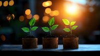 Young green plant seedlings growing in wooden pots against sunset bokeh background, representing growth, development, and environmental sustainability.