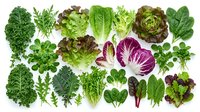 Fresh organic leafy greens and herbs collection including kale, lettuce, spinach, arugula and parsley isolated on white background for healthy cooking.