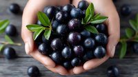 Fresh blueberries cupped in hands with green leaves on rustic wooden background. Healthy organic superfood harvest concept for nutrition and wellness.