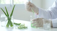Scientist in white coat extracting natural aloe vera gel in modern laboratory for cosmetic and pharmaceutical research applications.