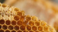 Golden honeycomb with hexagonal cells filled with fresh honey, natural beekeeping product showcasing organic sweetness and apiary craftsmanship.