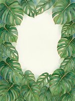 Monstera leaves frame isolated on white background, ready for design projects, invitations, posters, and botanical artwork applications.