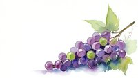 Watercolor grape cluster with green leaves on white background, fresh fruit illustration for wine labels, kitchen decor and culinary designs.