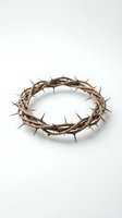 Crown of thorns made from dried branches and sharp spines on white background, suitable for religious, Easter, passion, and spiritual design projects.