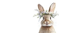 Adorable brown bunny wearing floral crown with purple wildflowers and green leaves on white background, isolated spring design element for greeting cards and decor.