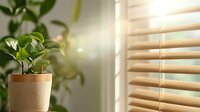 Green potted plant near window with wooden blinds casting soft morning light, creating peaceful home atmosphere with natural shadows and warm sunlight glow.