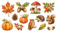 Autumn leaf, acorn, mushroom, pumpkin, rowan berry, pinecone, hedgehog, owl, squirrel, oak leaf, acorn isolated on white background for fall seasonal design, clipart, and craft projects.