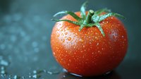 Fresh ripe tomato with water drops on dark background, macro photography showing detailed texture of red vegetable with green stem and morning dew.